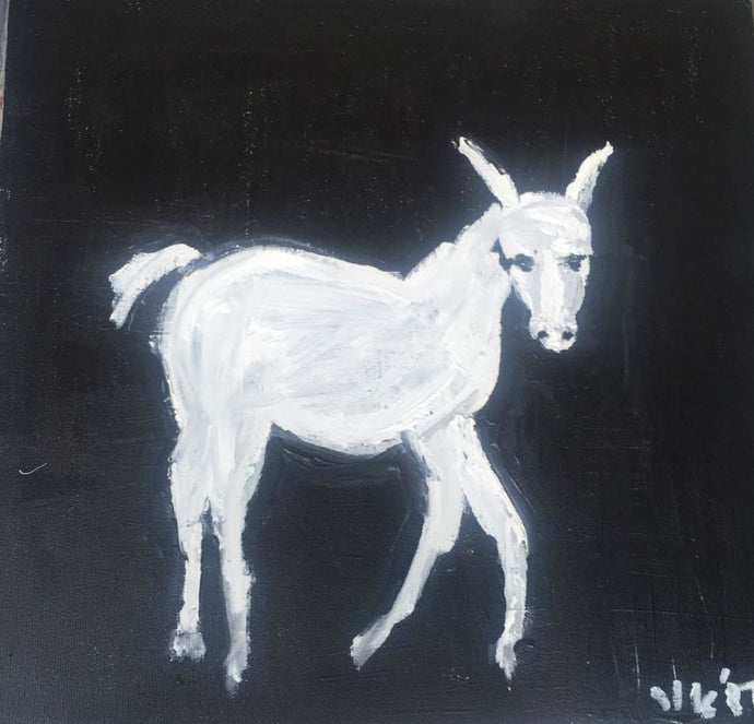 Small White Donkey